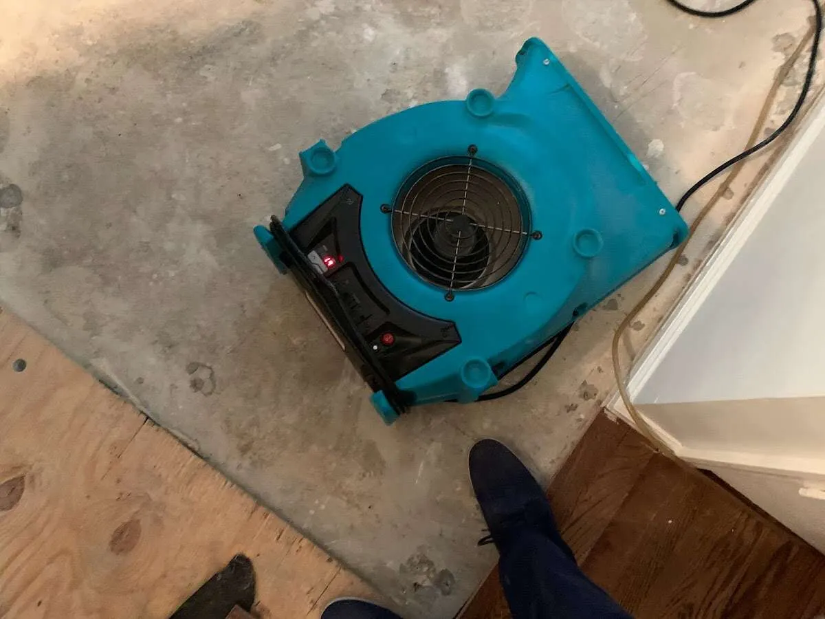 Air mover drying subfloor during Commercial Water Damage Restoration in Elko